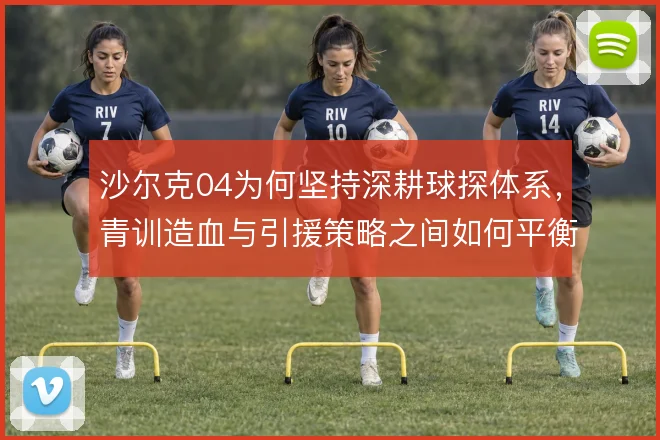 沙尔克04为何坚持深耕球探体系,青训造血与引援策略之间如何平衡
