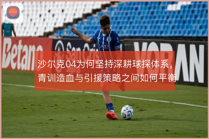 沙尔克04为何坚持深耕球探体系,青训造血与引援策略之间如何平衡